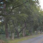 OTRA2014_1675 (September 06, 2014)